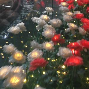 看月亮爬上来（cover：火鸡）