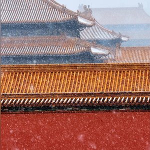 迟春