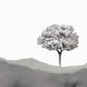 ⬆️⬆️⬇️⬇️⬅️➡️⬅️➡️