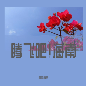 腾飞吧,海南自贸港