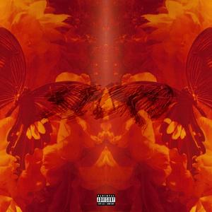 Sicko (feat. Paradoxx)