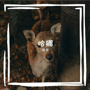 哈兰星