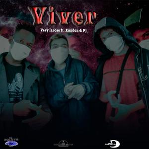 Viver (feat. Xandon & PJ)