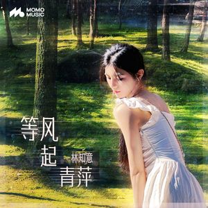 等风起青萍