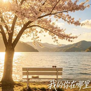 我的你在哪里