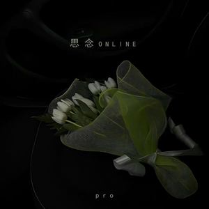 思念online