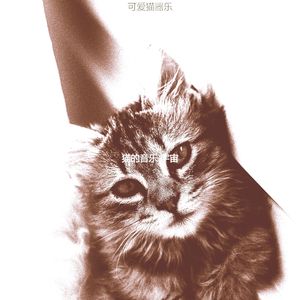 温和放松的猫梦想