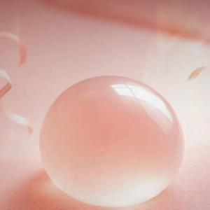 감각의 과육 (Sensory Flesh)