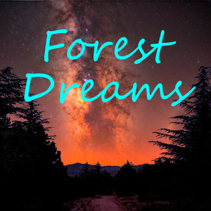 Ascolto (Instrumental Version)