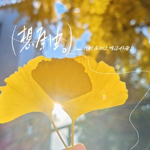 想自由（女声版cover）