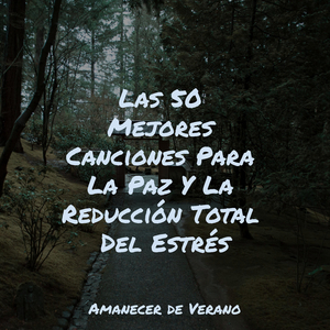 Amanecer Encantado en el Extranjero