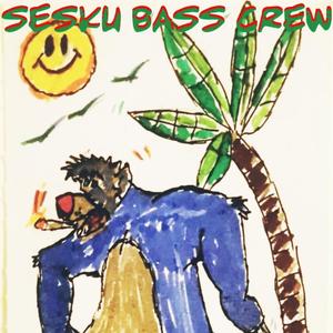 Chestburster (skunk apex inna riddim mix)