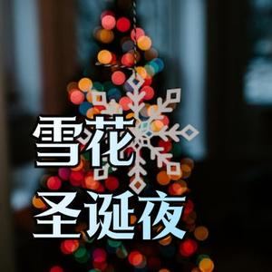 雪花下的圣诞平安夜