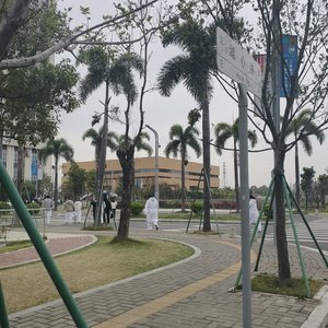 青春路上的褶皱