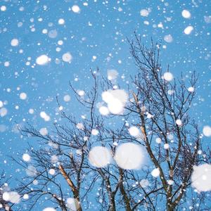 겨울밤에 듣기 좋은 노래