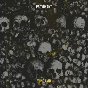 Provokant