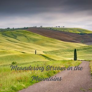 Rebirth: Transformation Through Adversity