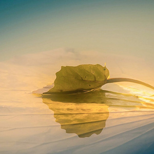 吴启通幼儿韵律舞蹈 (Inst.)