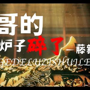 哥的炉子碎了（一人之下马仙洪）