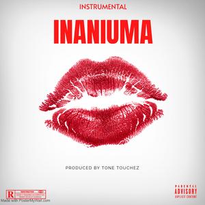 Bongo Fleva x Zouk Guitered Typebeat_INANIUMA_2026