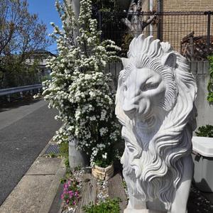 心の解放(World Peace Song)