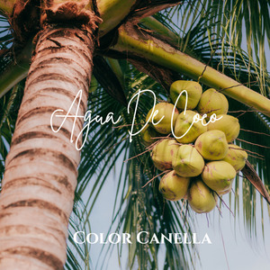 Agua De Coco (Instrumental)