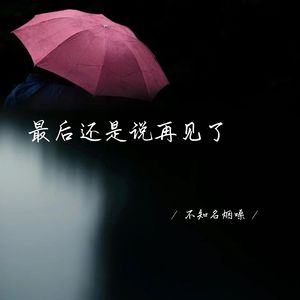 最后还是说再见了