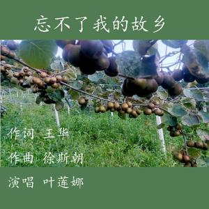 忘不了我的故乡