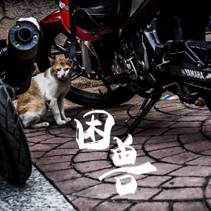 撕掉你的情诗 ft 妙歌（Prod by 艾福杰尼）