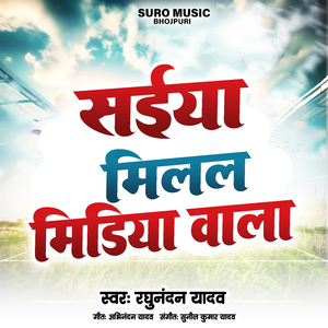 सईयां मिलल मीडिया वाला