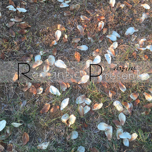 사랑 시작 (Inst.)