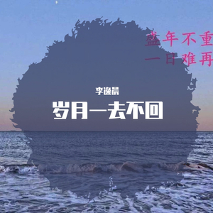岁月一去不回