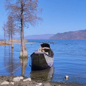 这一切没有想象的那么糟