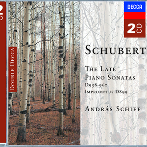 4 Impromptus Op.90 D.899:No.1 in C minor: Allegro molto moderato