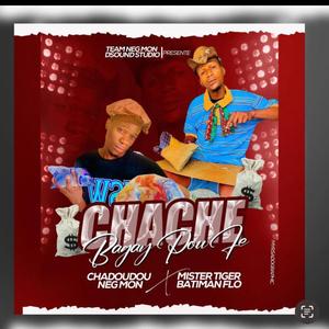 Chache Bagay Pou Fè (feat. Animatè Chadoudou Nèg Mòn)