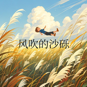 风吹的沙砾