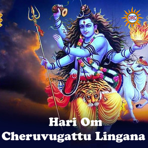 Hari Om Cheruvugattu Lingana