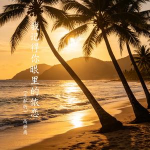 我记得你眼里的依恋（乐部版）
