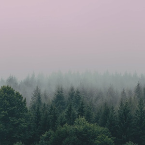 I'm Only a Fool for You