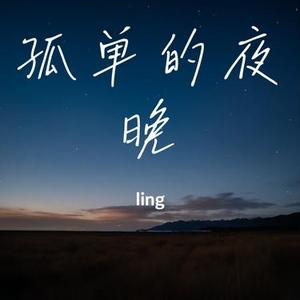 孤单的夜晚