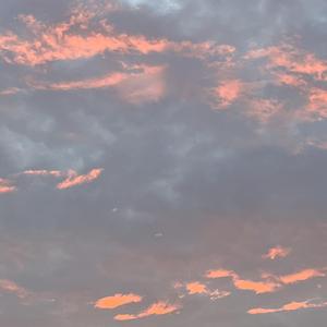 REVOLUTAN-完工（吃根烤肠就走 remix）