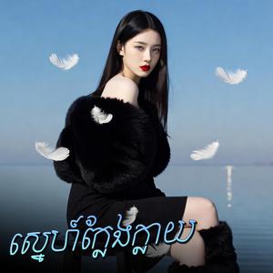 ស្នេហ៍ក្លែងក្លាយ