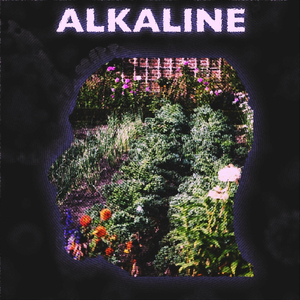 Alkaline