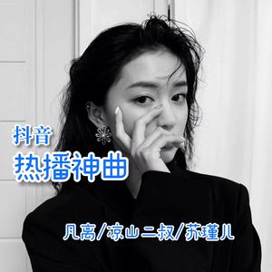 抖音热播神曲(DJ最新版)