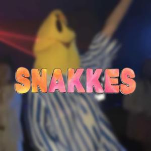 Snakkes 2022