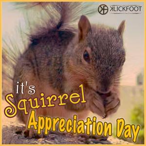 It's Squirrel Appreciation Day