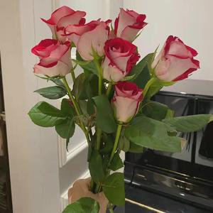 我好想你(钢琴版)