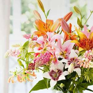 奶奶，我总是想起您