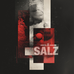 Salz (Transzendenz)