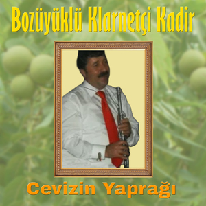 Cevizin Yaprağı